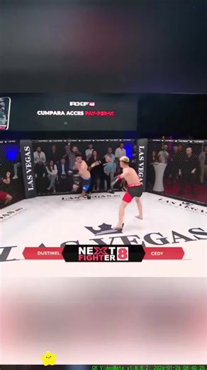 Referee vs Fighter: The Dynamics of MMA