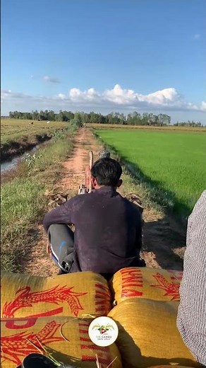 #ep124 #farmers #automobile #lifeisbutadream #agriculture #shortvideo #cropcultivation #fishing