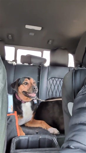 Dog park near Madison, WI. Prairie Moraine Dog park in Verona, WI #puppy #dogparks