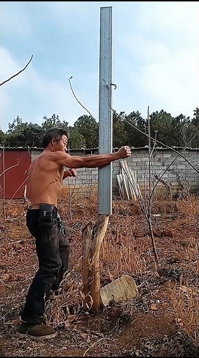 IRON HAND EXERCISES || QIGONG KUNGFU TRAINING #ironhands #kungfu #martialarts