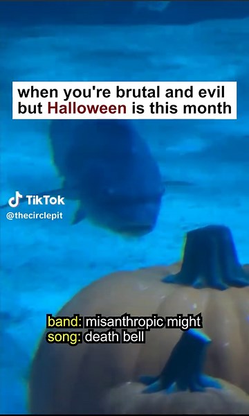 🎃 #metal #heavymetal #halloween #thecirclepit