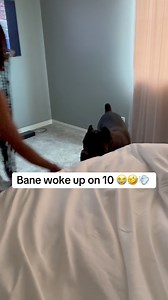 Raising Bane on Reels