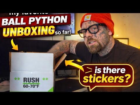 My Favorite ball python unboxing so far!
