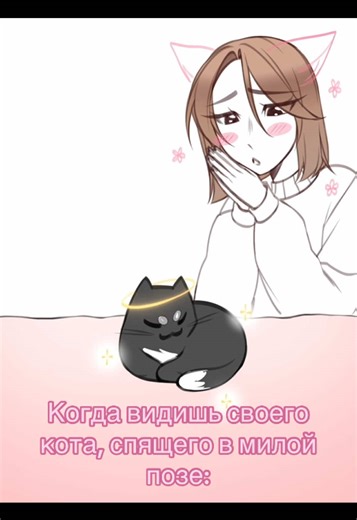 Мой тгк: enchkk | Помогите добить 35к ✨ #мем | cat