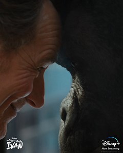 The moment you've been waiting for has arrived! The One and Only Ivan is now streaming, exclusively on #DisneyPlus! | Disney