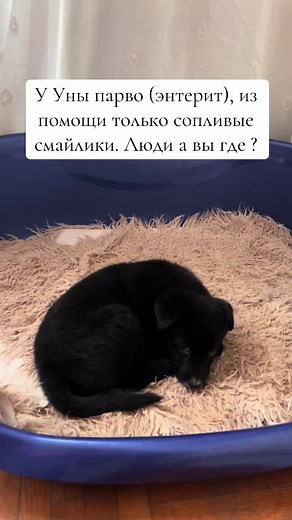 PayPal: krasovska@mail.com