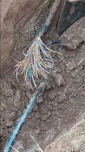 RAINBOW ROOT #work #construction