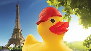 121K views · 268 reactions | Our Crazy duck is on a world tour. Click...