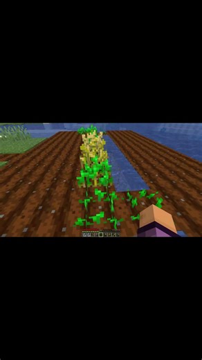 MİNECRAFT HARDCODE JLYX 8 #ozelblox #gaming #games #clips #minecraft #gameplay #minecraftcrops