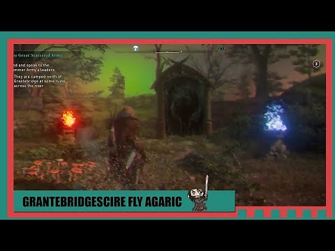 Assassin's Creed Valhalla - Grantebridgescire Fly Agaric Mushroom puzzle Guide