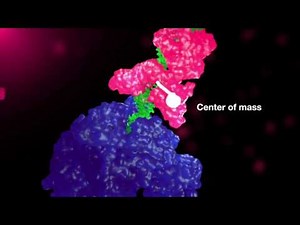 RecBCD: Torque-Driven DNA Eviction