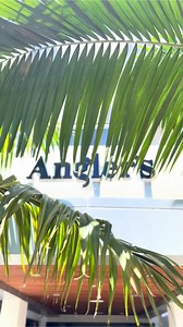 Stop your scroll! Take a minute and enjoy these serene scenes from Kimpton Angler’s Hotel South Beach. | Kimpton Hotels & Restaurants