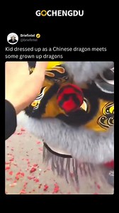 An adorable little dragon stole the show, joining the big dragons in a festive dance! 🐉✨ Tradition meets cuteness, spreading joy and heritage. #ChineseDragon #CulturalTraditions #Heartwarming #Explore #china | Go Chengdu