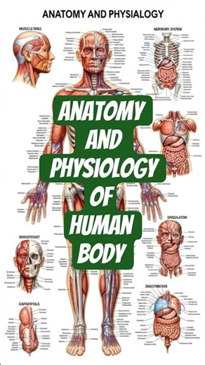 #मानव शरीर की संरचना एवं कार्यप्रणाली #cell#tissue #biology