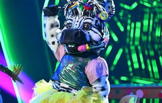 Masked Singer: Das waren die Kostüme in Staffel 2