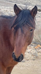 451K views · 10K reactions | Jacob, sweet, sweet Jacob… You will...