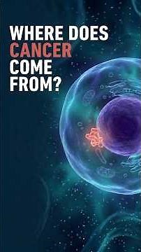 How Cancer Starts: A Look Inside the Cells #cancer #cancerawareness #dna #humanbody