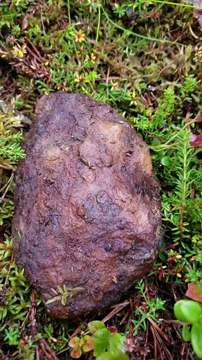 Exploring the Intricate Patterns Inside Meteorites | MeteoriteJewelry.Shop