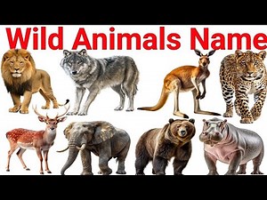 20 Wild Animals for Kids 🐯 | Learn Wild Animals Name with Pictures & Sounds | Educational Video
