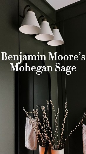 Mohegan Sage: Transforming Spaces with Benjamin Moore Paint