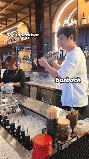 Angkrid Ken | Barnack vs bar supervisor #barback #bartender #pov | Instagram
