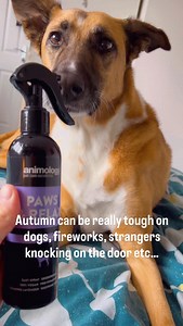 So for the duration of October we’re discounting our Paws & Relax spray to give your pups a break. Use code OCTOBERCALM20 at checkout #animology | Animology