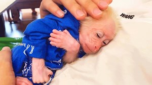 91K views · 8.4K reactions | Most Obediently!! Baby Monkey Wake Up Early Accompany Dad To Buy Fruits At Market | BiBi Monkey | Facebook