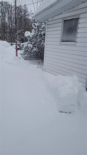 Zion Artiste on Reels