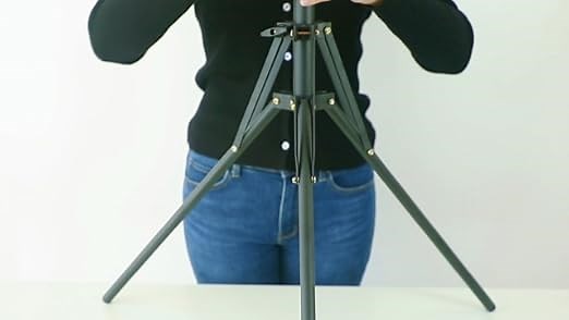 Professional Studio Recording Microphone Isolation Shield