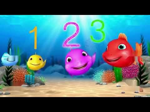 Poisson Rouge, Cours, Cours | Chansons amusantes pour enfants