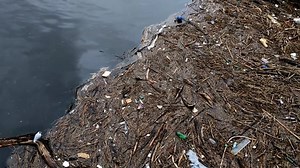 Usa, United States, America