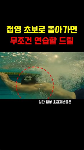 접영 초보로 돌아가면 무조건 연습할 드릴