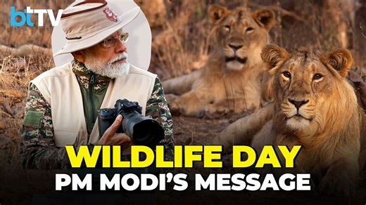 Prime Minister Modi Champions Wildlife Protection On World Wildlife Day