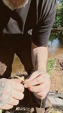 Foraging For Food & Natural Cordage