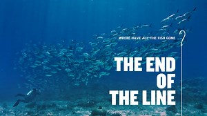 The End of The Line 2009 (Updated 2017)