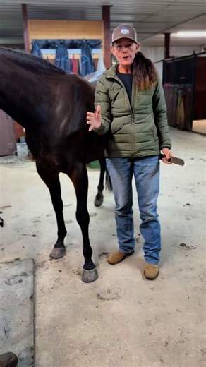 3.6K reactions · 548 shares | Farriers need to be apart of your...