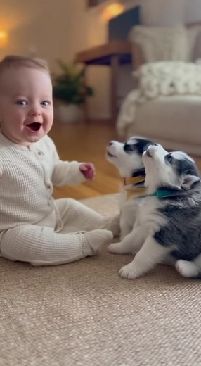 3.1K views · 88 reactions | "Who needs winners or losers when you’re having this much fun? When the baby and fluffy puppies howl in sync, it’s impossible not to smile! " | Tee Happy | Facebook