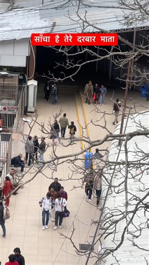 साँचा है तेरा दरबार माता #vaishnodevidairies #vaishnodevitrip #maa #shortvideo #viralvideo #yt