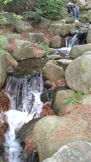 海の中道海浜公園4
