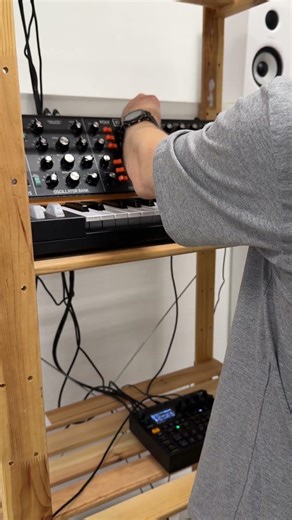 Bell rings arpeggio poly d hi hats #bell #rings #behringer #hihats #new