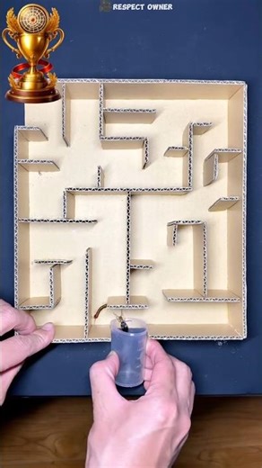 A Simple Intelligence Test Inside This Maze #shortsvideo