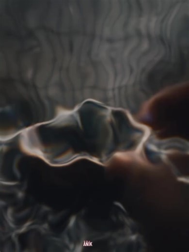 Like Father, Like Son: The Bond in Pigeon Racing