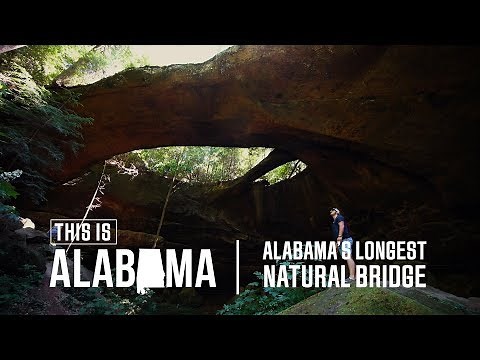 Alabama's Longest Natural Bridge