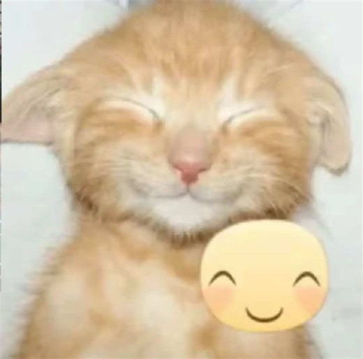 Twilight Sparkle's First Design in MLP Fandom