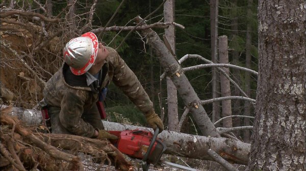 Watch Ax Men Season 1 Episode 12 | HISTORY Channel
