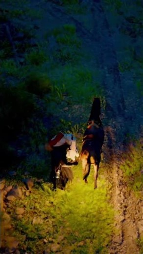 Hw wouldn't shit up so I put him to sleep