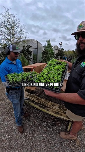 Going Native! Episode 1: Unboxing Texas Sage Plugs! | native products