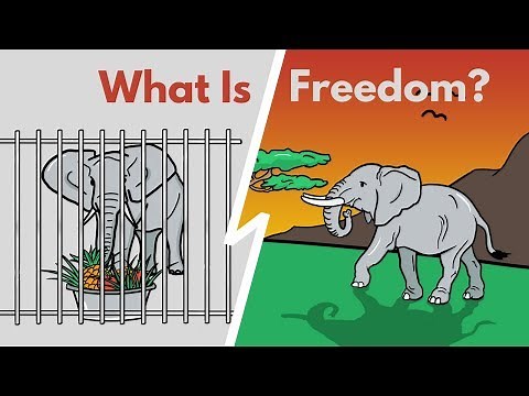 How To Be Free In An Unfree World? | THE FREEDOM VIDEO
