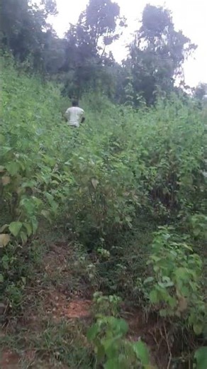hill climbing traveling - Villager climbing a dangerous hill