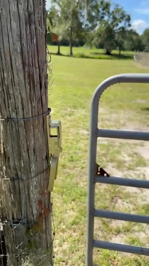  Open Any Gate with One Hand — Fast, Secure, and Effortless! Meet...